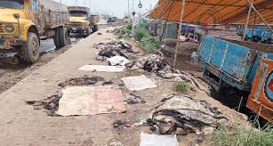 ফ্রিতেও নিচ্ছে না ছাগলের চামড়া, ফুটপাতে ফেলে যাচ্ছেন ব্যবসায়ীরা